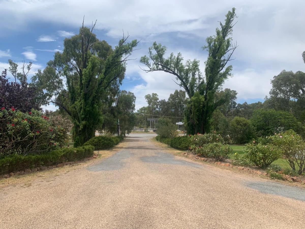 Newell Motor Inn Narrandera Dış mekan fotoğraf