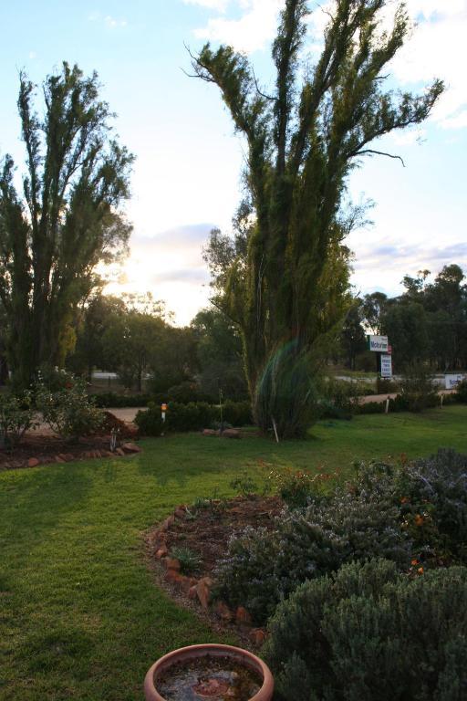 Newell Motor Inn Narrandera Dış mekan fotoğraf